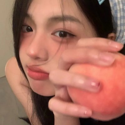 翼龙